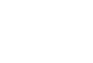 Logotipo Branco Michell Mariotti-svg